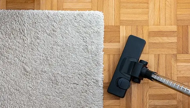 DailyCareRugs Rug care | CR Carpet