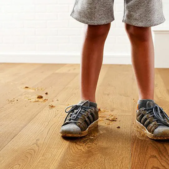 dirt-derbis-hardwood-square Hardwood care | CR Carpet