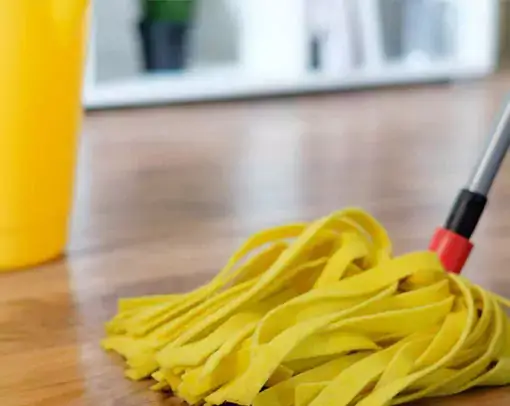 vinyl-daily-care Vinyl cleaning | CR Carpet